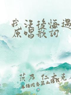 我没后悔遇见你原唱歌词