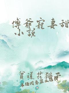 傅爷宠妻甜入骨 小说