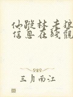 仙踪林老狼贰佰信息在线观看