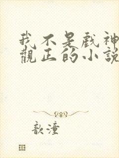 我不是戏神是三观正的小说吗