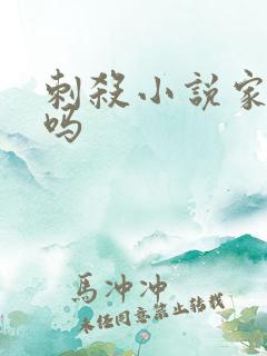 刺杀小说家好看吗