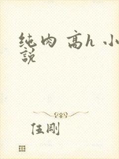 纯肉 高h 小说
