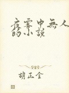 夜雾中无人爱我的小说