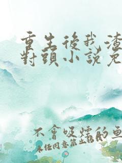 重生后我渣了死对头小说免费阅读