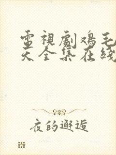 电视剧鸡毛飞上天全集在线观看免费