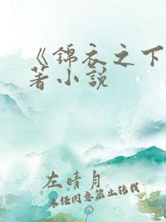 《锦衣之下》原著小说
