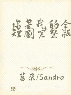 你是我的全世界短剧完整版