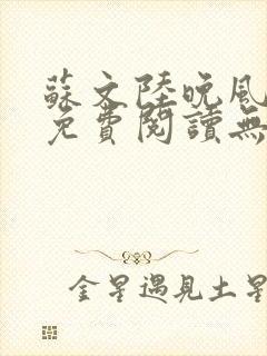 苏文陆晚风全文免费阅读无弹窗笔趣