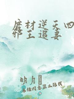 废材逆天四小姐邪王追妻