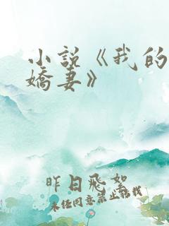 小说《我的极品娇妻》