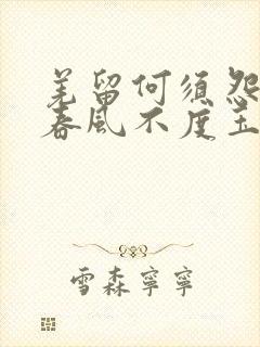 羌留何须怨杨柳春风不度玉门关意思