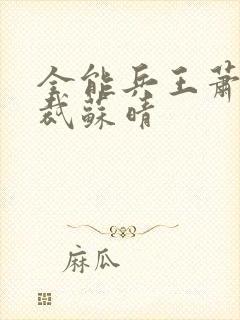 全能兵王萧晨总裁苏晴