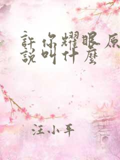 许你耀眼原著小说叫什么