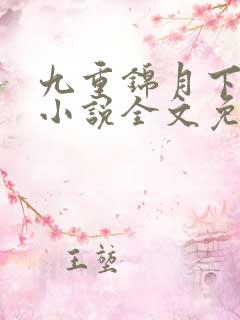 九重锦月下晚风小说全文免费阅读