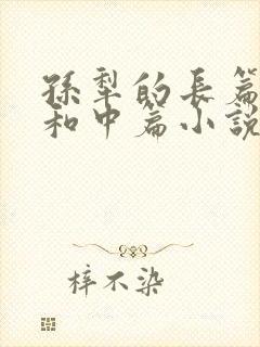 孙犁的长篇小说和中篇小说