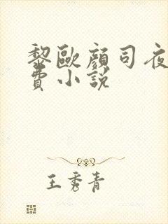 黎欧颜司夜辰免费小说