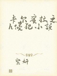 卡尔蜜拉之乱淫h侵犯小说