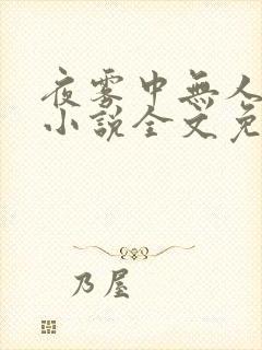 夜雾中无人爱我小说全文免费阅读
