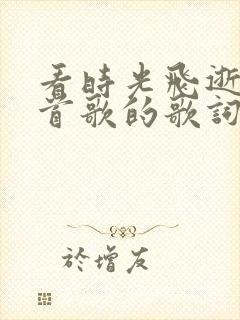 看时光飞逝是哪首歌的歌词