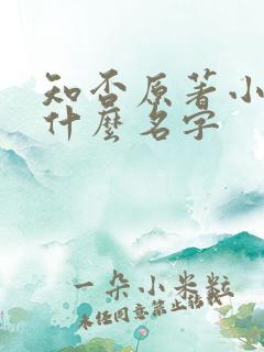 知否原著小说叫什么名字