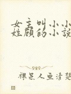 女主叫小小男主姓顾的小说