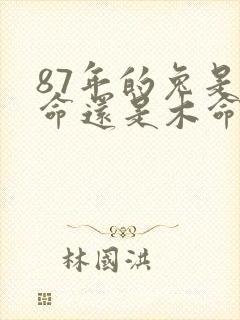 87年的兔是火命还是木命