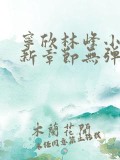 宁欣林峰小说最新章节无弹窗阅读