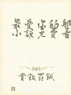 最爱你的那十年小说免费看