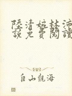 陆清婉林沛琛小说免费阅读最新章节