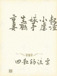 重生嫁小叔子夫妻联手虐渣