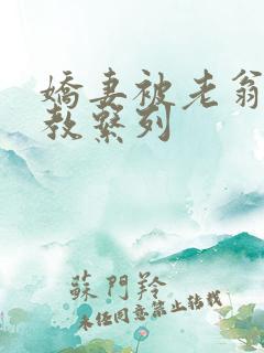 娇妻被老翁性调教系列