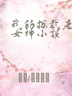 我的总裁老婆是女神小说