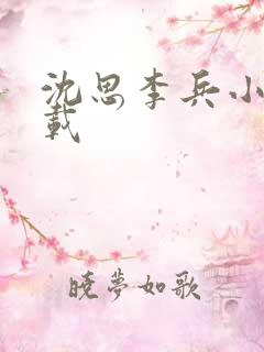 沈思李兵小说下载