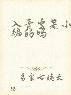 入青云是小说改编的吗