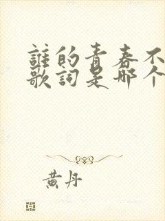 谁的青春不迷茫歌词是哪个歌名