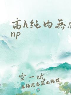 高h纯肉无剧情np