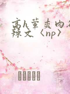 高h荤爽肉欲文辣文〈np〉
