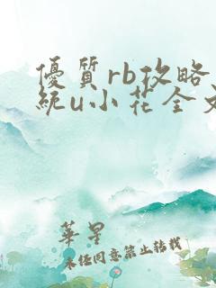 优质rb攻略系统u小花全文免费