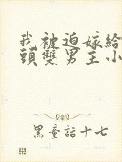 我被迫嫁给死对头双男主小说