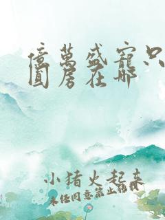 亿万盛宠只为你圆房在哪