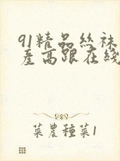 91精品丝袜国产高跟在线