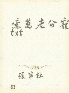 亿万老公宠上瘾txt