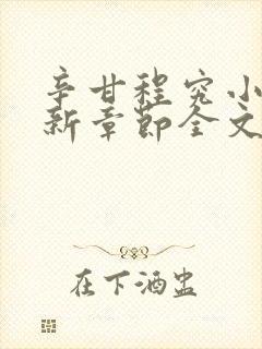 辛甘程究小说最新章节全文免费阅读