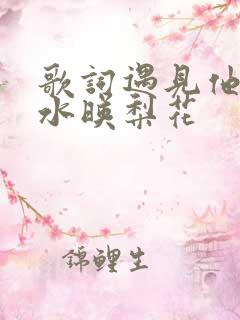 歌词遇见他如春水映梨花