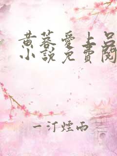 黄蓉爱上吕文德小说免费阅读