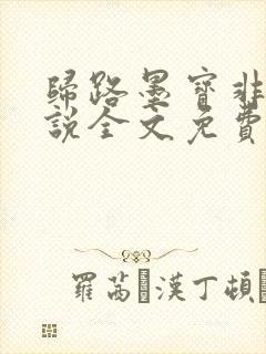 归路墨宝非宝小说全文免费阅读