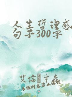 人生哲理感悟的句子300字