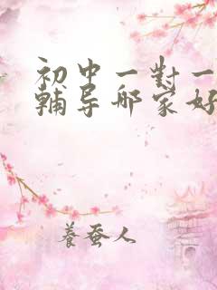 初中一对一上门辅导哪家好