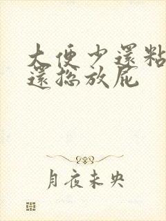 大便少还粘马桶还总放屁