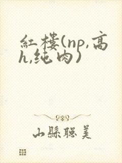 红楼(np,高h,纯肉)